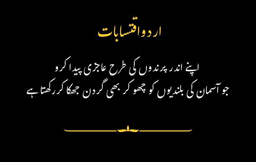 "Urdu Quotes on black background with yellow heading, reading: 'Develop humility within yourself, like the birds that bow despite soaring high in the sky.'"