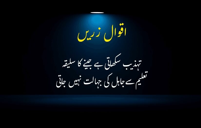 "Spotlit Urdu Aqwal e zareen on wisdom, emphasizing the importance of manners and character over mere academic education."