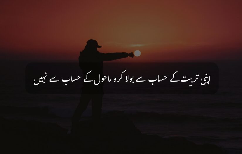 Silhouette, sunset, Urdu quote person, ocean, wisdom, upbringing, environment.
