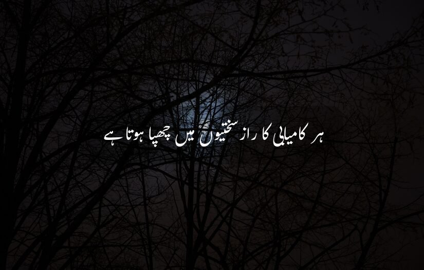 Moonlight through trees with Best Urdu Quote about success hidden in struggles.