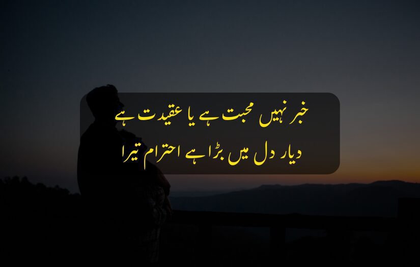 "Person gazing at twilight horizon with Urdu quote about love."