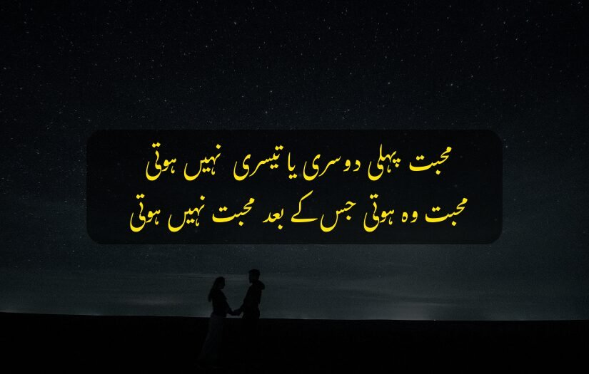 "Couple holding hands under a starry night with lover Urdu quote."