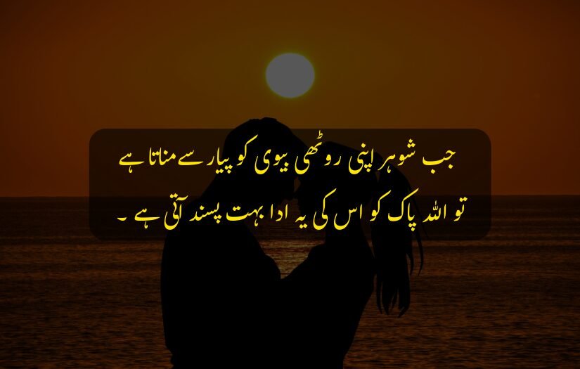 "husband wife embracing at sunset by the sea with Urdu quote."