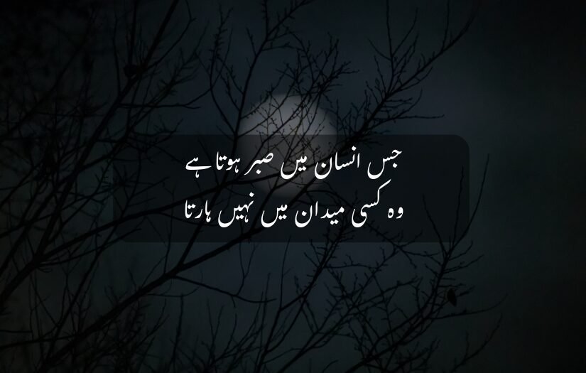 "Silhouette of tree branches with Urdu quote about patience's strength."