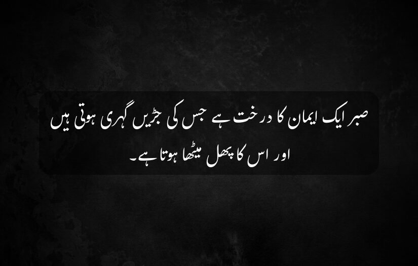 "Black textured background with Urdu quote about patience and faith."