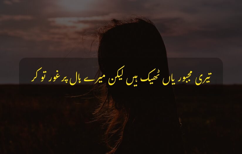 "sad urdu quote 1 line on understanding, featuring a silhouette against a sunset background."