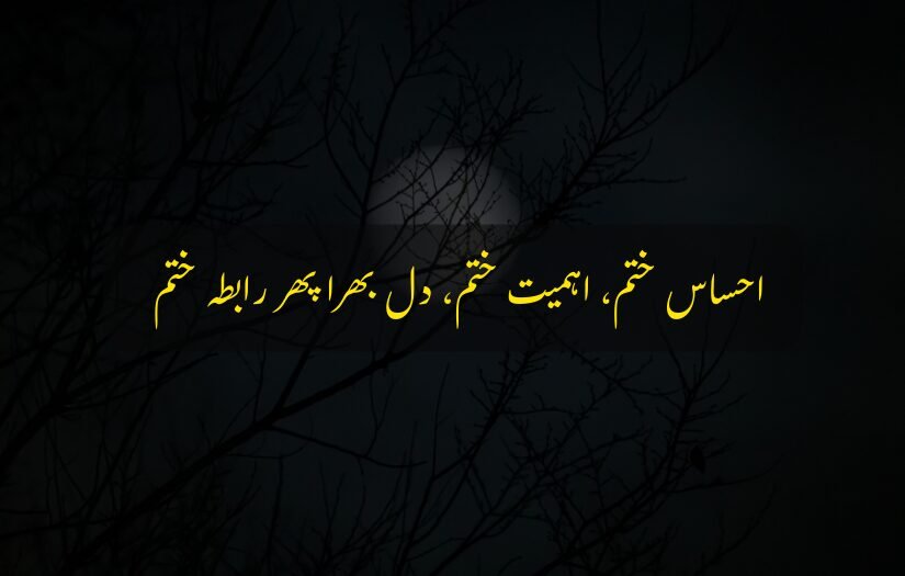 "sad urdu quote 1 line about emotions fading, with a dark night and tree branches background."