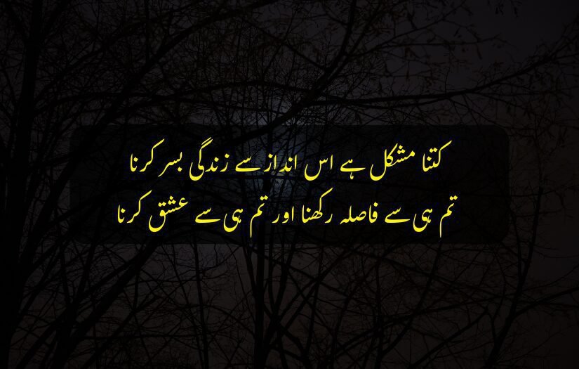 "Silhouette of tree branches, dim light, Urdu quote on life challenges."
