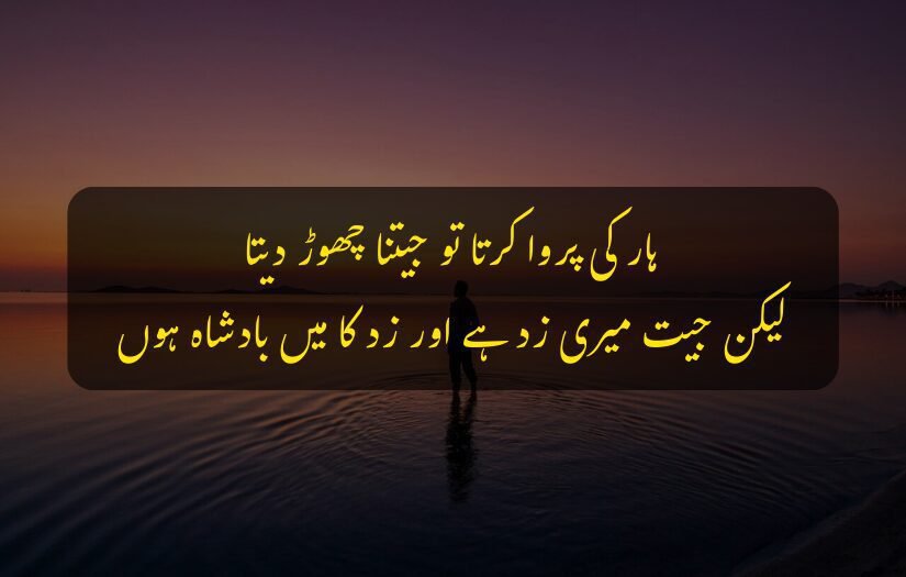 A person standing in shallow water during a vibrant sunset Attitude urud quotes .