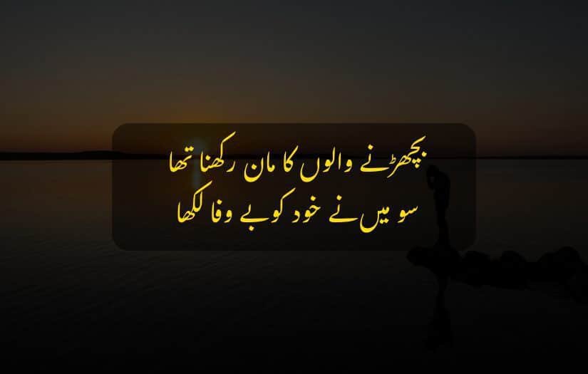 Silhouette of a person standing near water during serene sunset heart touching urdu quote.