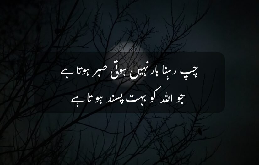 "Silhouette of tree branches, moonlight background, Urdu quote on patience."