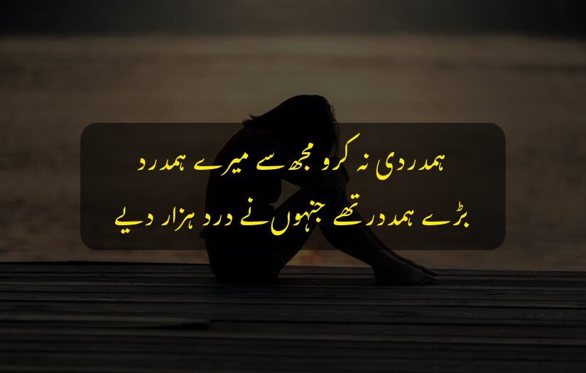 "Sad Urdu quote about empathy with silhouette sitting by the water."