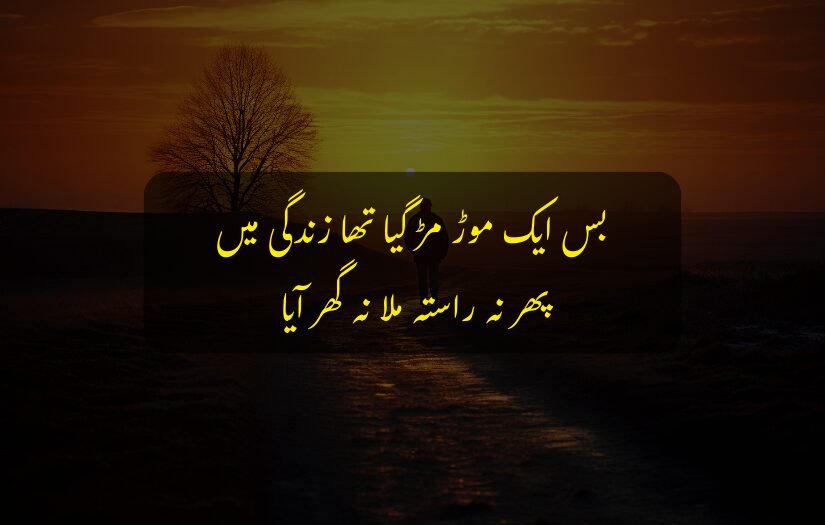 "Sad Urdu quote on life’s journey with sunset and tree background."